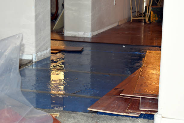 Professional Flood Damage Repair technician working in Rochester, MA